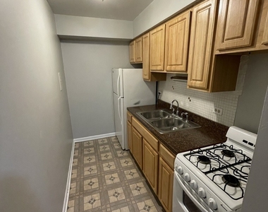 541 W Oakdale Avenue - Photo Thumbnail 1