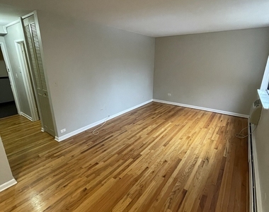 541 W Oakdale Avenue - Photo Thumbnail 4
