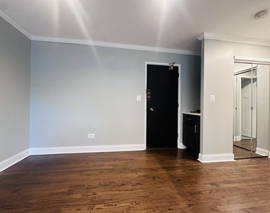 541 W Oakdale Avenue - Photo Thumbnail 4