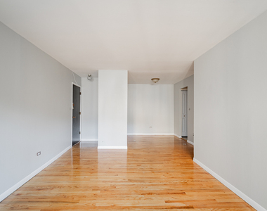 541 W Oakdale Avenue - Photo Thumbnail 3