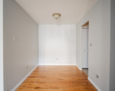 541 W Oakdale Avenue - Photo Thumbnail 7