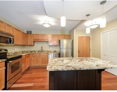 211 E Ohio Street - Photo Thumbnail 7