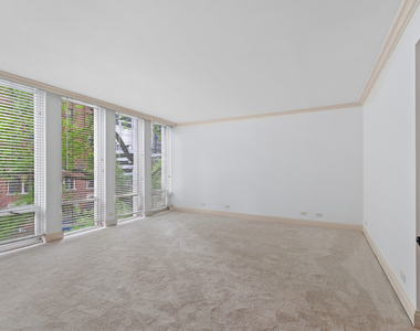 200 E Delaware Place - Photo Thumbnail 29