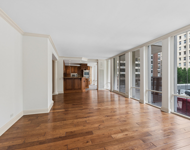 200 E Delaware Place - Photo Thumbnail 11