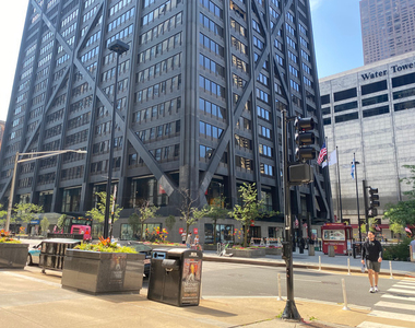 200 E Delaware Place - Photo Thumbnail 44