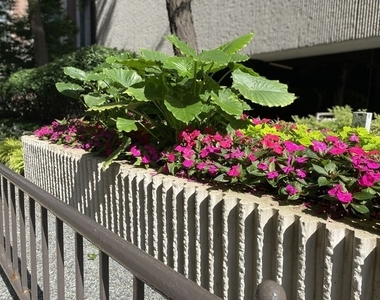 200 E Delaware Place - Photo Thumbnail 40