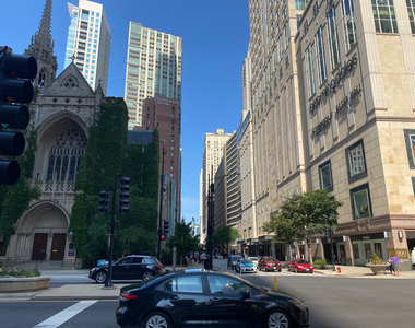 200 E Delaware Place - Photo Thumbnail 42