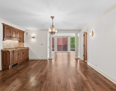 200 E Delaware Place - Photo Thumbnail 16