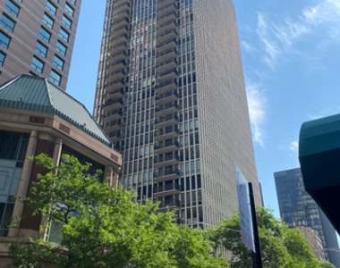 200 E Delaware Place - Photo Thumbnail 41