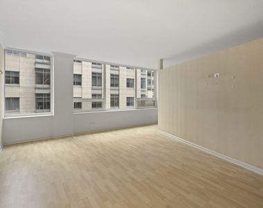 233 E Erie Street - Photo Thumbnail 2