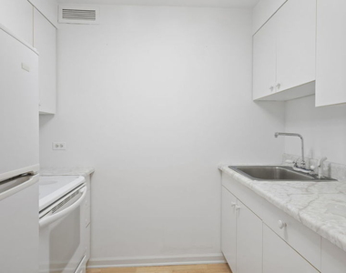 233 E Erie Street - Photo Thumbnail 10