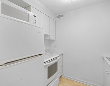 233 E Erie Street - Photo Thumbnail 8