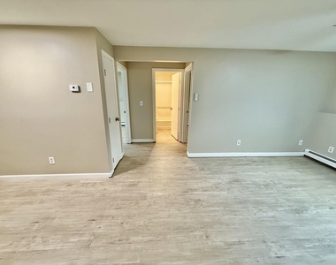 945 Mammoth - Photo Thumbnail 5