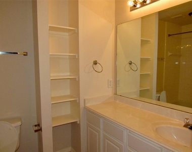11126 Cactus Point Court - Photo Thumbnail 19