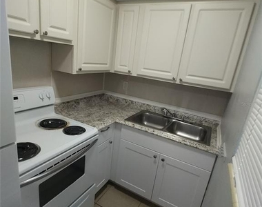 419 Pineapple Street - Photo Thumbnail 4