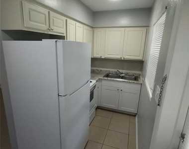 419 Pineapple Street - Photo Thumbnail 6