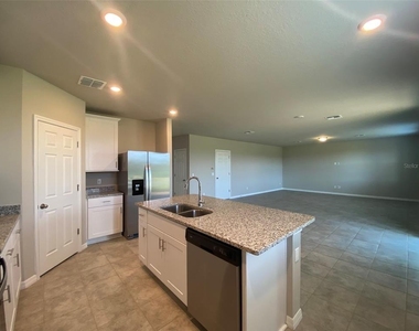 461 Whistling Duck Trail - Photo Thumbnail 6