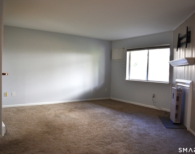17 Willow Springs - Photo Thumbnail 2