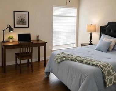 1314 Salado Drive - Photo Thumbnail 19