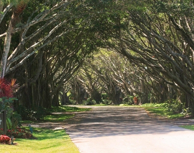 2810 Polo Island Drive - Photo Thumbnail 17