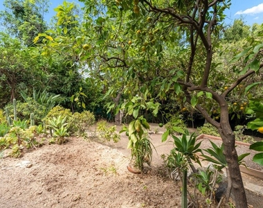 1843 Lucile Avenue - Photo Thumbnail 46
