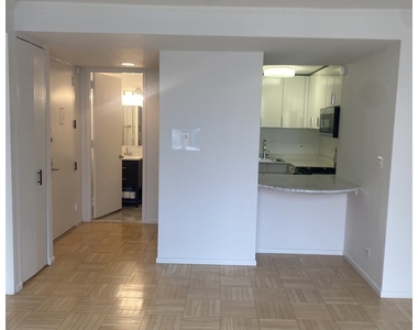 236 E 47th Street - Photo Thumbnail 8