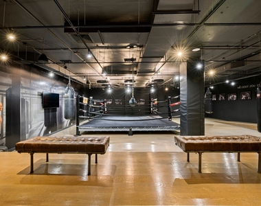 54 Noll Street - Photo Thumbnail 8