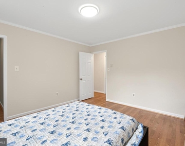 5129 Chowan Avenue - Photo Thumbnail 49