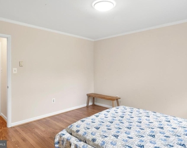 5129 Chowan Avenue - Photo Thumbnail 51
