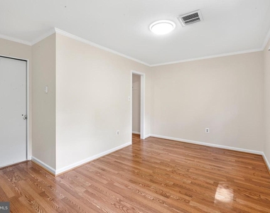 5129 Chowan Avenue - Photo Thumbnail 47