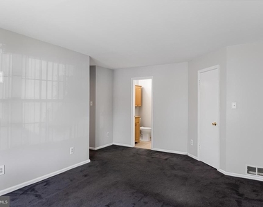 419 Atlanta Court - Photo Thumbnail 19