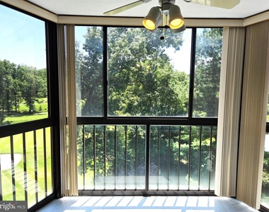 15107 Interlachen Drive - Photo Thumbnail 7