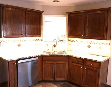 954 Downing Drive - Photo Thumbnail 13