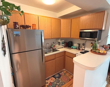 2909 N Sheridan Road - Photo Thumbnail 7