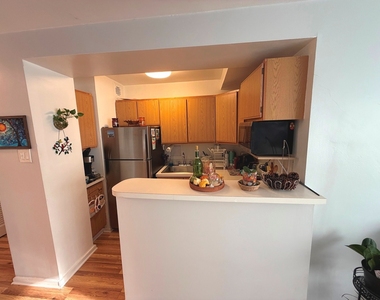 2909 N Sheridan Road - Photo Thumbnail 6