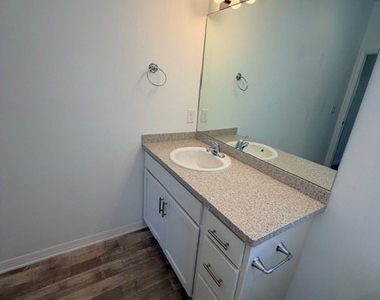 13420 Hidden Palms Cove - Photo Thumbnail 11