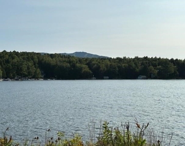 16 Pine - Photo Thumbnail 12