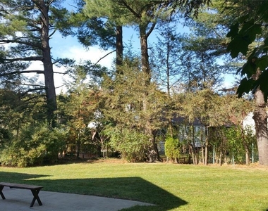 239 Mulberry - Photo Thumbnail 3