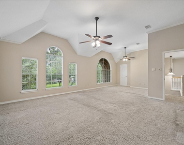 16715 Colony Terrace Drive - Photo Thumbnail 18