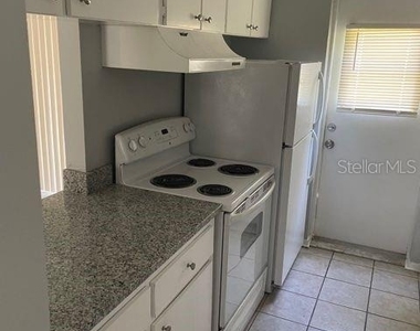 419 Pineapple Street - Photo Thumbnail 4