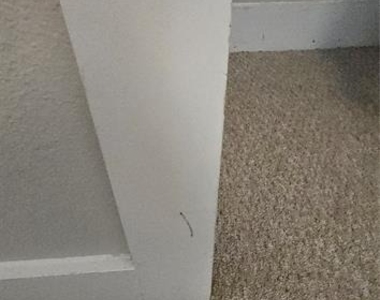2608 Sunrise Shores Drive - Photo Thumbnail 45