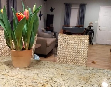 3157 Goldenrod Street - Photo Thumbnail 4