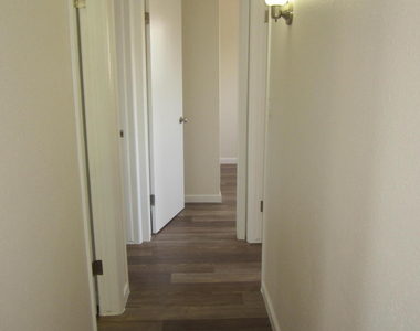 305 Corvena Way - Photo Thumbnail 37