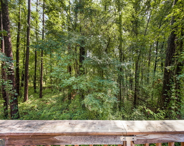 536 Loblolly Lane - Photo Thumbnail 30