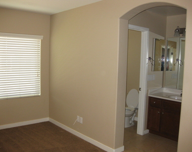 1115 E Cedar Street - Photo Thumbnail 11