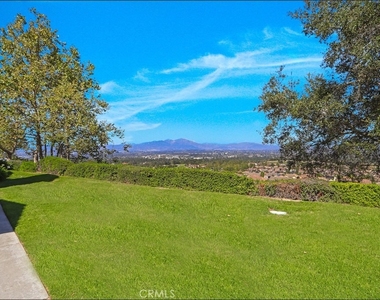 80 Verdin - Photo Thumbnail 1