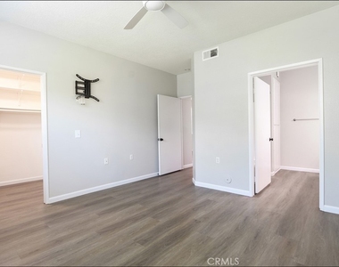 80 Verdin - Photo Thumbnail 21
