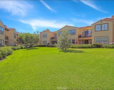 80 Verdin - Photo Thumbnail 32