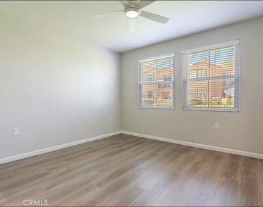 80 Verdin - Photo Thumbnail 16
