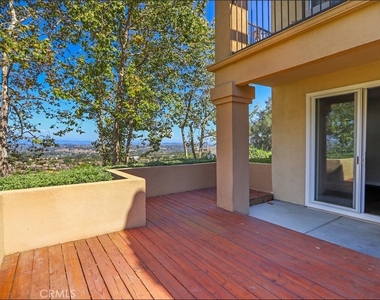 80 Verdin - Photo Thumbnail 29